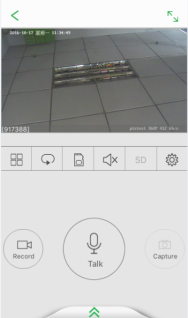 Picture 7010 188w318h