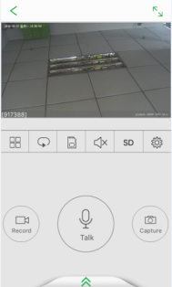 Picture 7036 189w314h