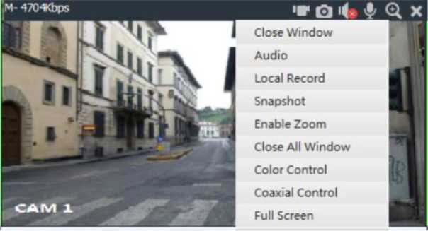 Elevate CMS Full User Manual 31 word image 499 30