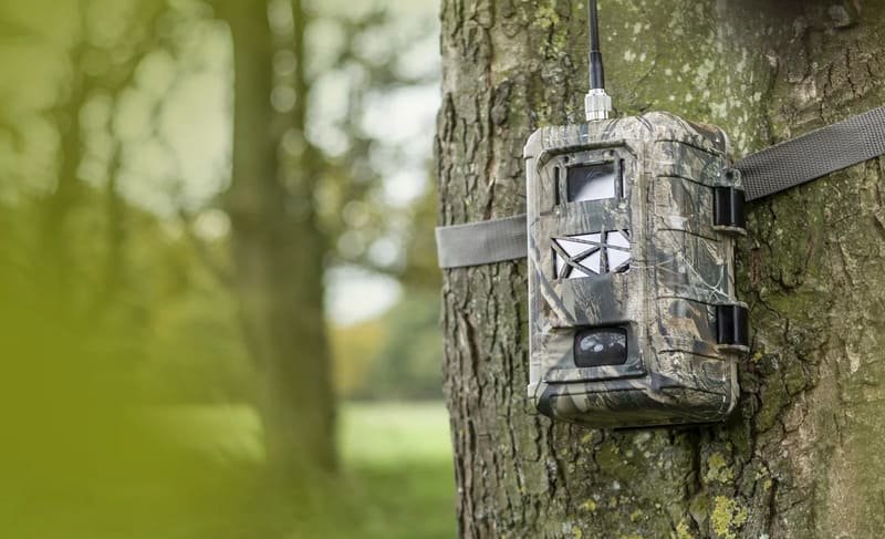 4G Trail Cameras 2025 Buyers Guide Top Models